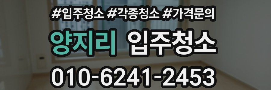 양지리 이사청소