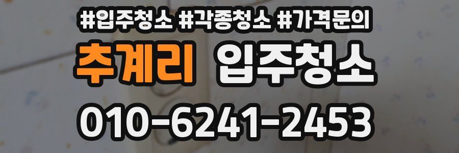 추계리 이사청소