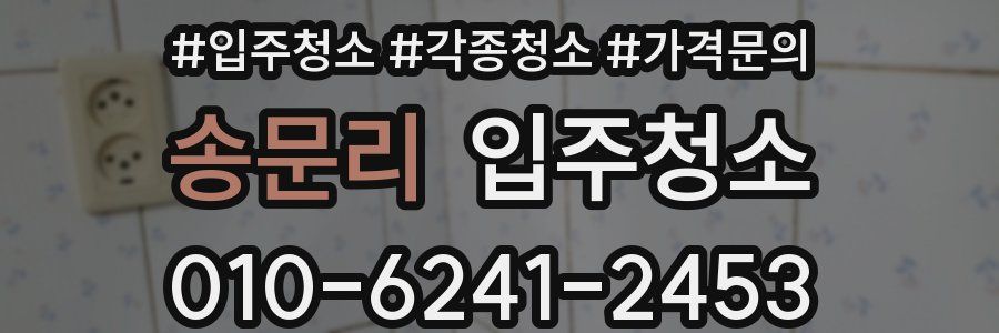 송문리 이사청소