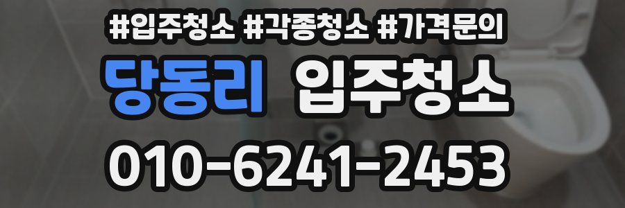 당동리 이사청소