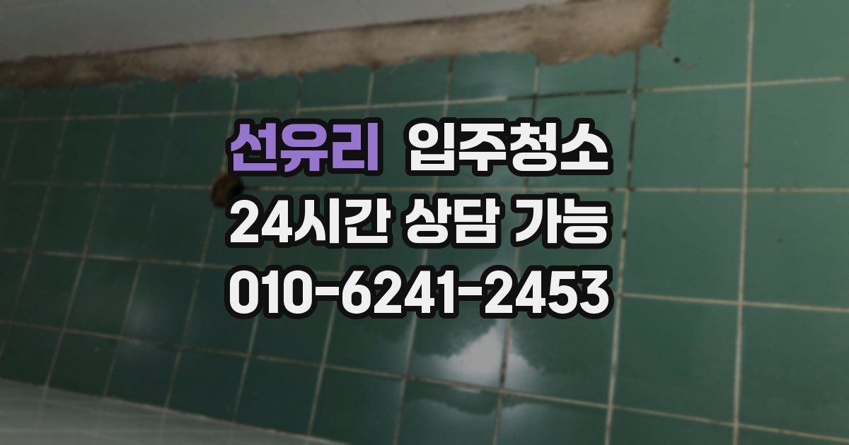 선유리 입주청소