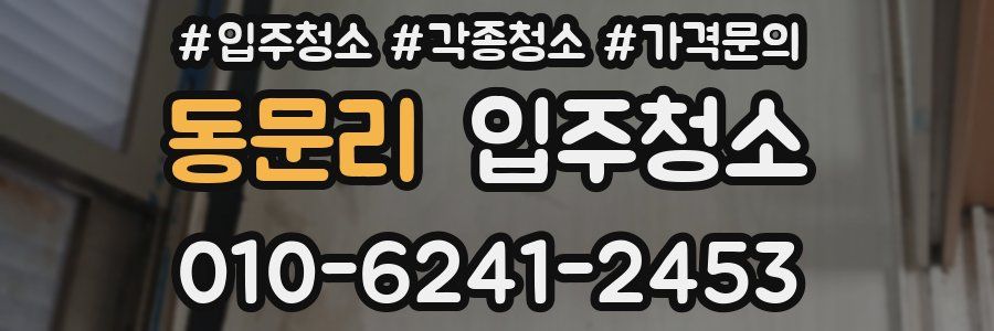 동문리 이사청소