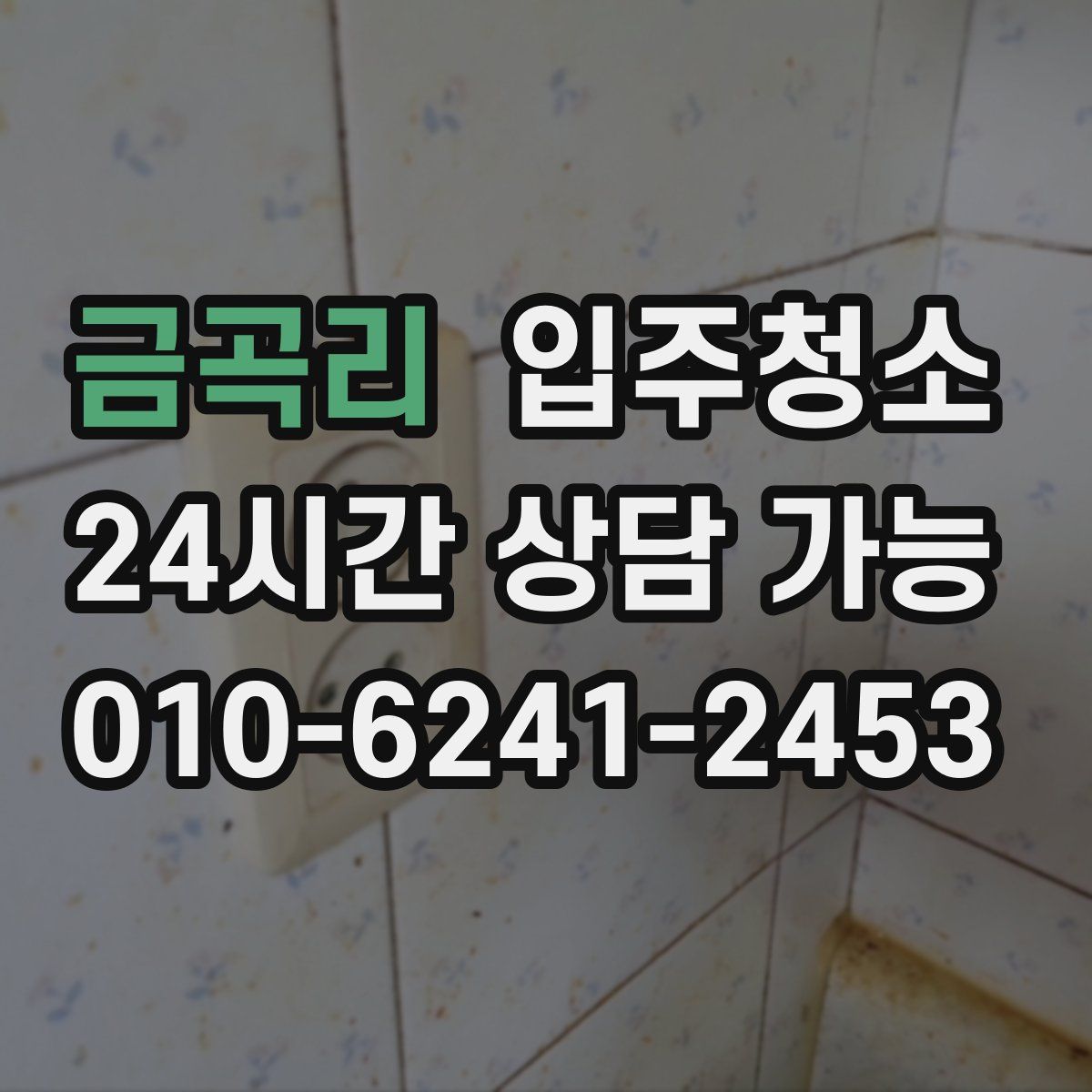 금곡리 원룸청소