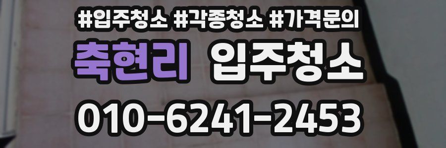 축현리 이사청소