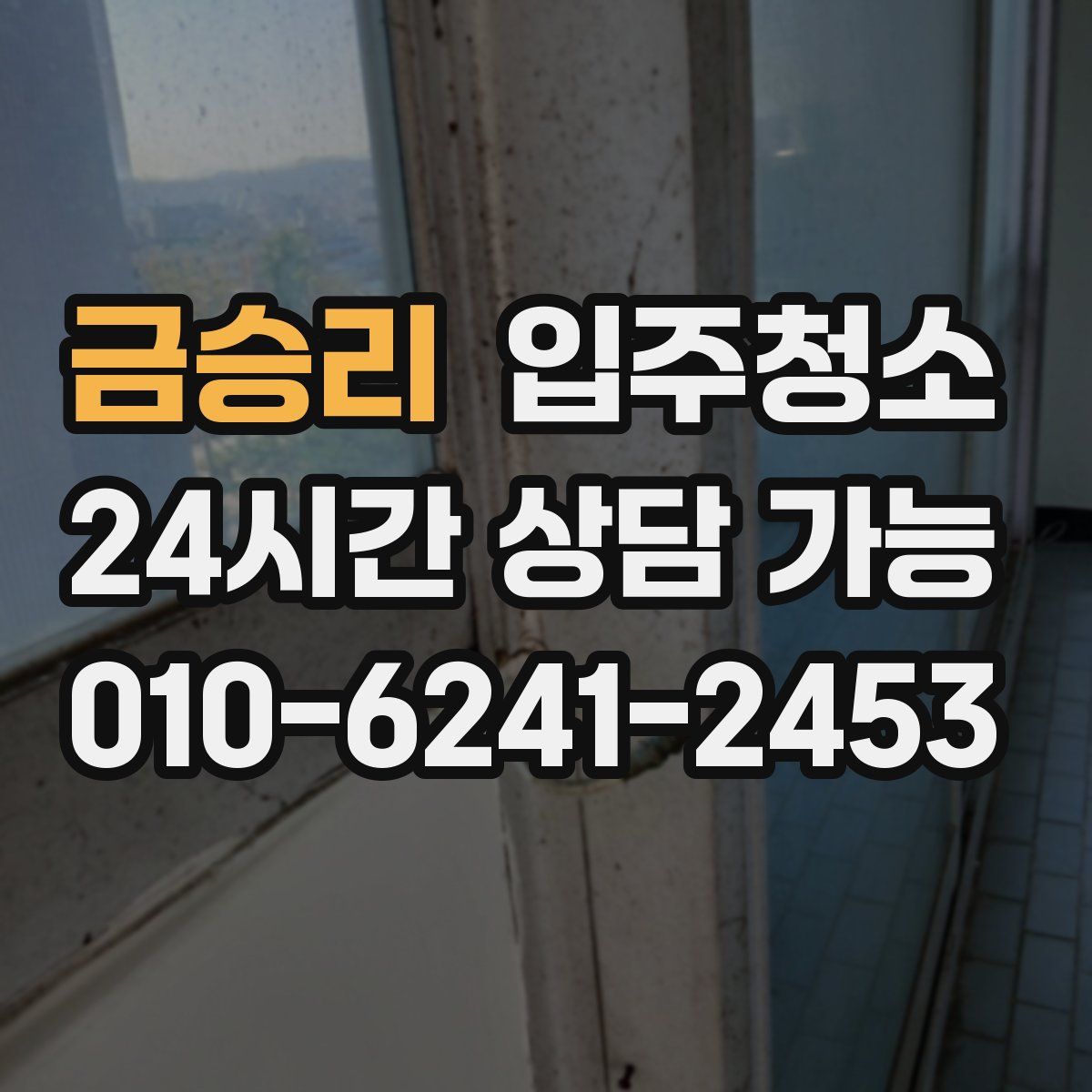 금승리 원룸청소