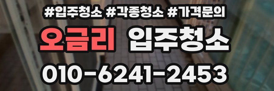 오금리 이사청소