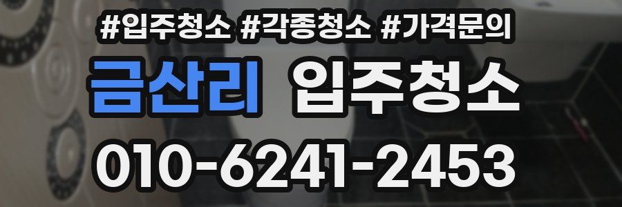금산리 이사청소