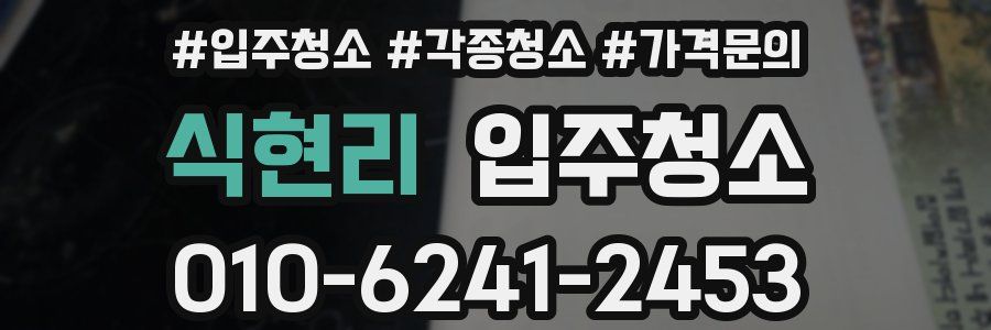 식현리 이사청소