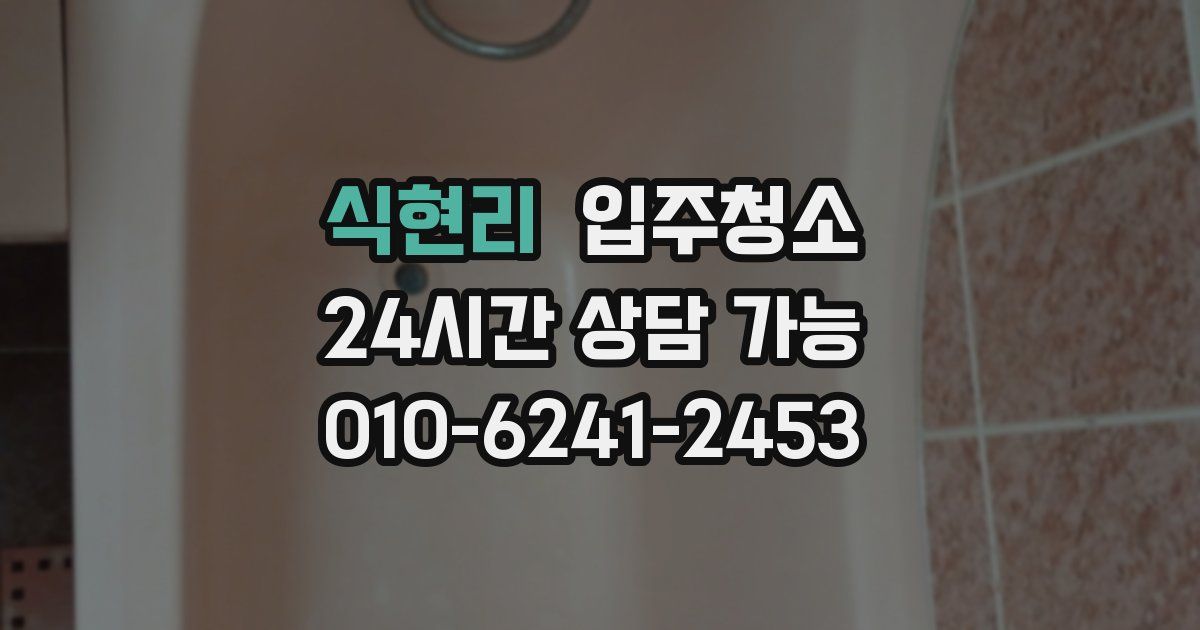 식현리 입주청소