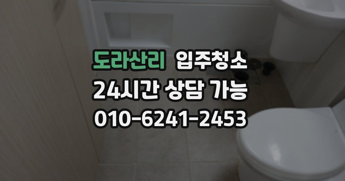 도라산리 입주청소