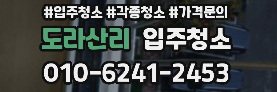 도라산리 이사청소