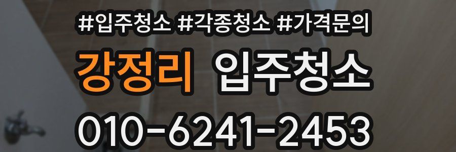 강정리 이사청소