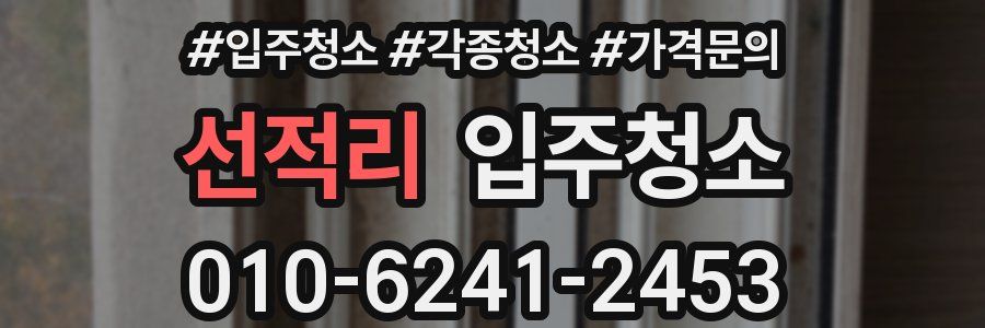 선적리 이사청소