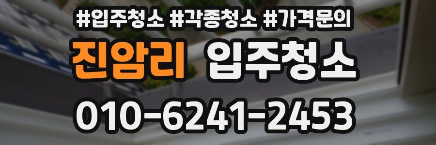 진암리 이사청소