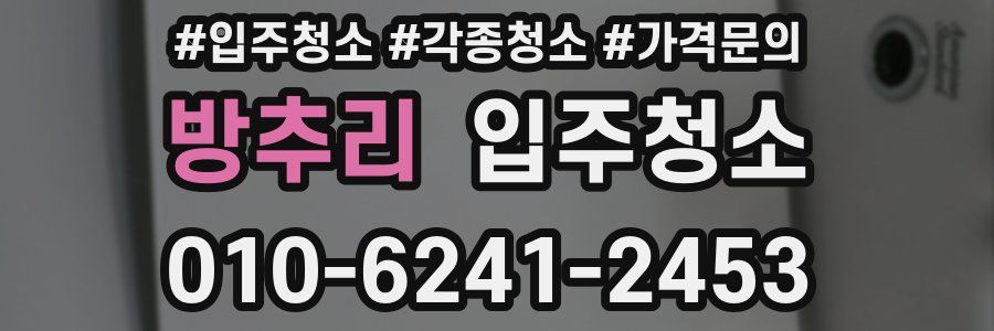 방추리 이사청소