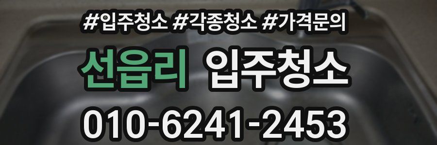 선읍리 이사청소