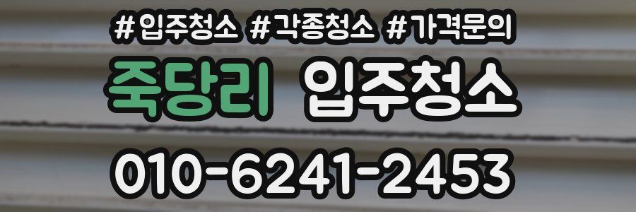 죽당리 이사청소