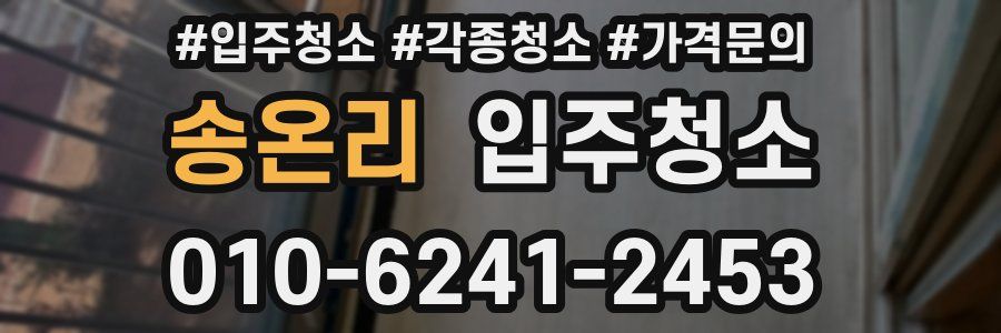 송온리 이사청소