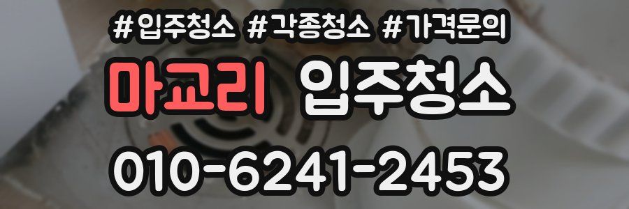 마교리 이사청소