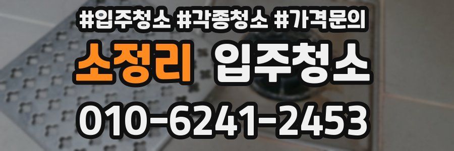 소정리 이사청소