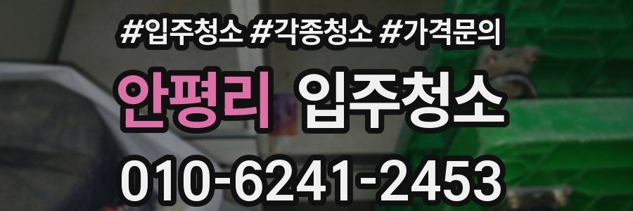 안평리 이사청소