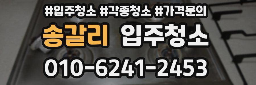 송갈리 이사청소