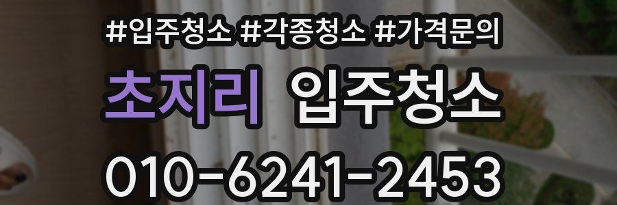 초지리 이사청소