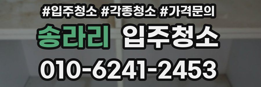 송라리 이사청소