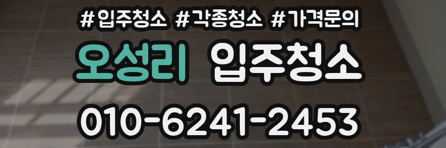 오성리 이사청소