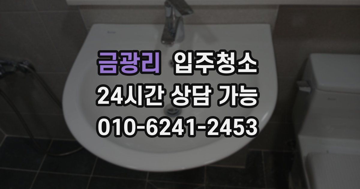 금광리 입주청소