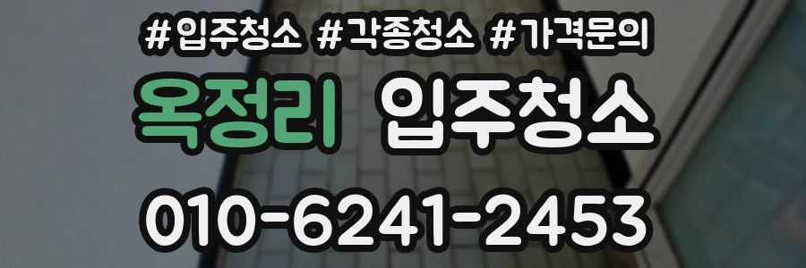 옥정리 이사청소