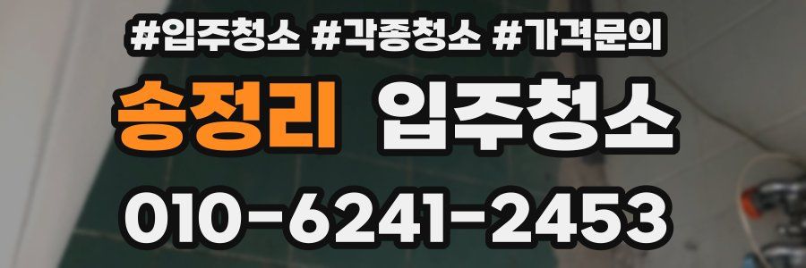 송정리 이사청소