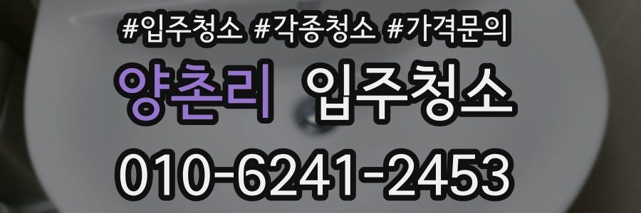 양촌리 이사청소