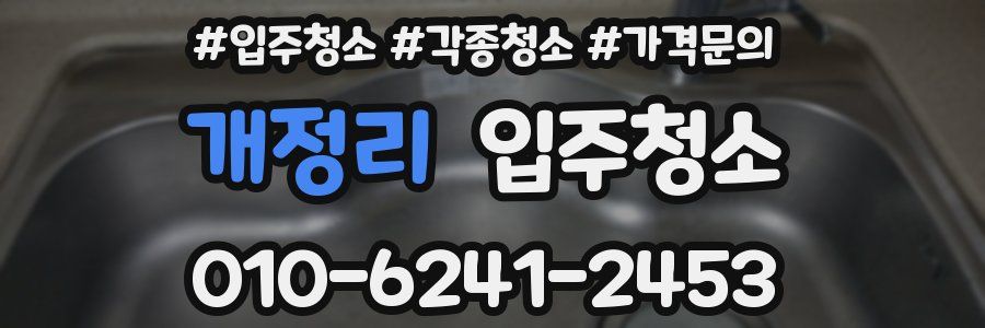 개정리 이사청소