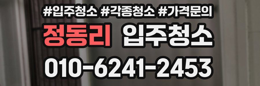 정동리 이사청소