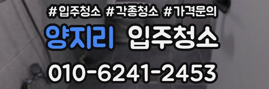 양지리 이사청소