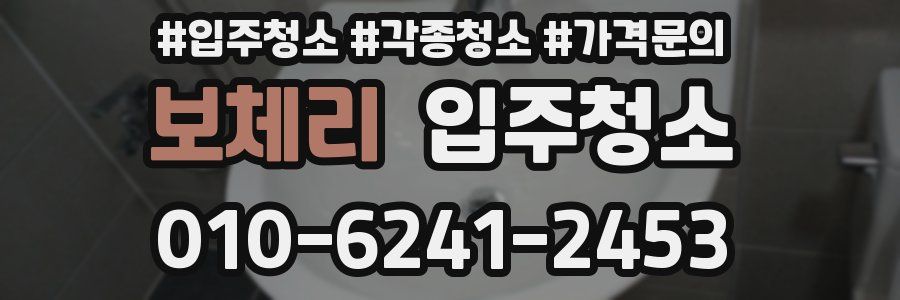 보체리 이사청소