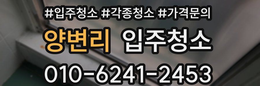 양변리 이사청소