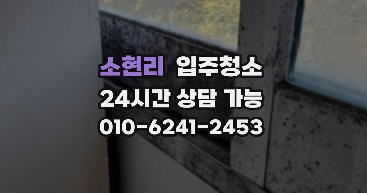 소현리 입주청소