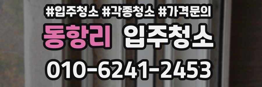 동항리 이사청소