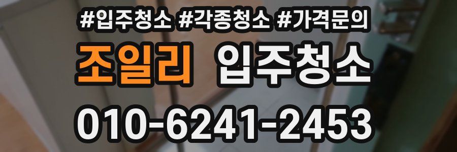 조일리 이사청소