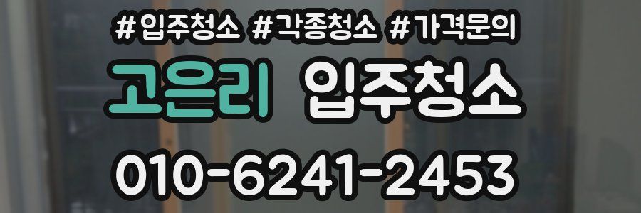 고은리 이사청소