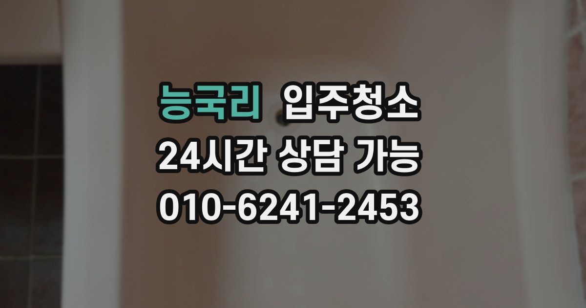 능국리 입주청소