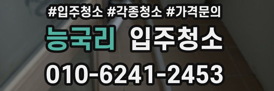 능국리 이사청소