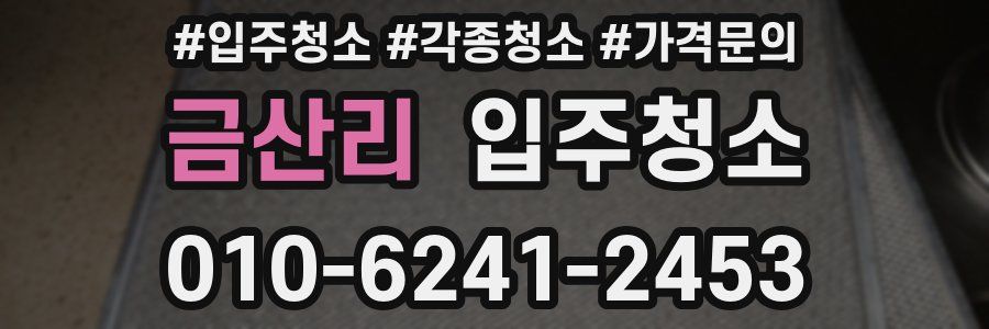 금산리 이사청소