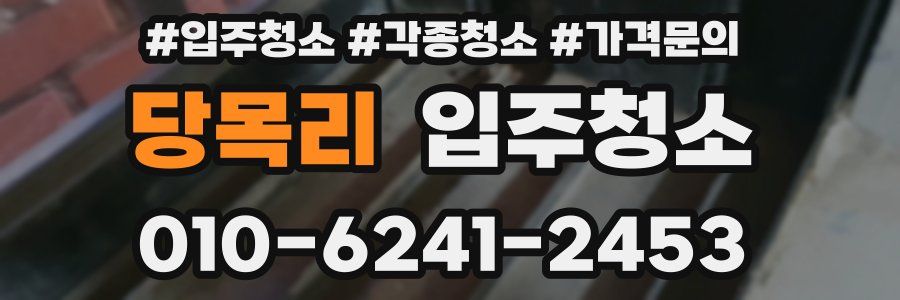 당목리 이사청소