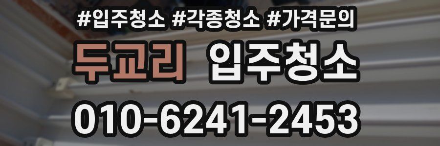 두교리 이사청소