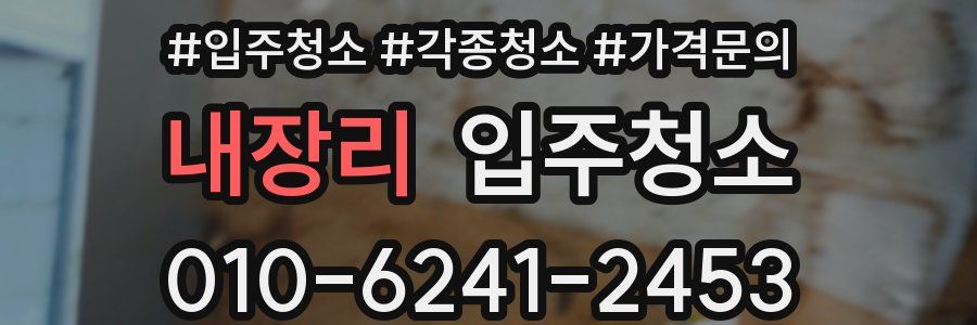 내장리 이사청소