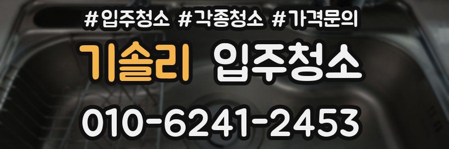 기솔리 이사청소