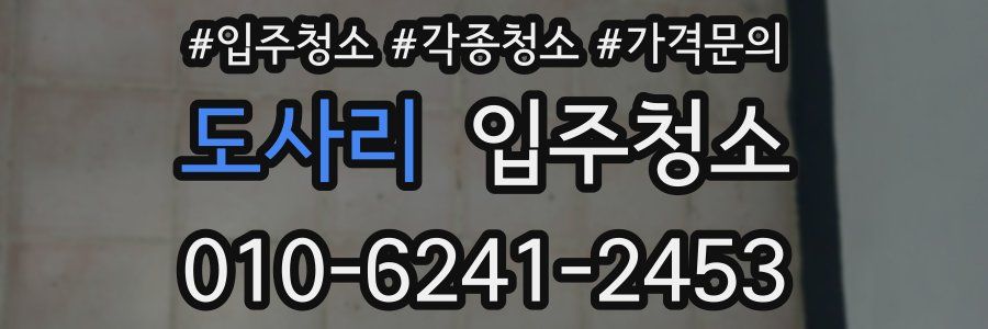 도사리 이사청소